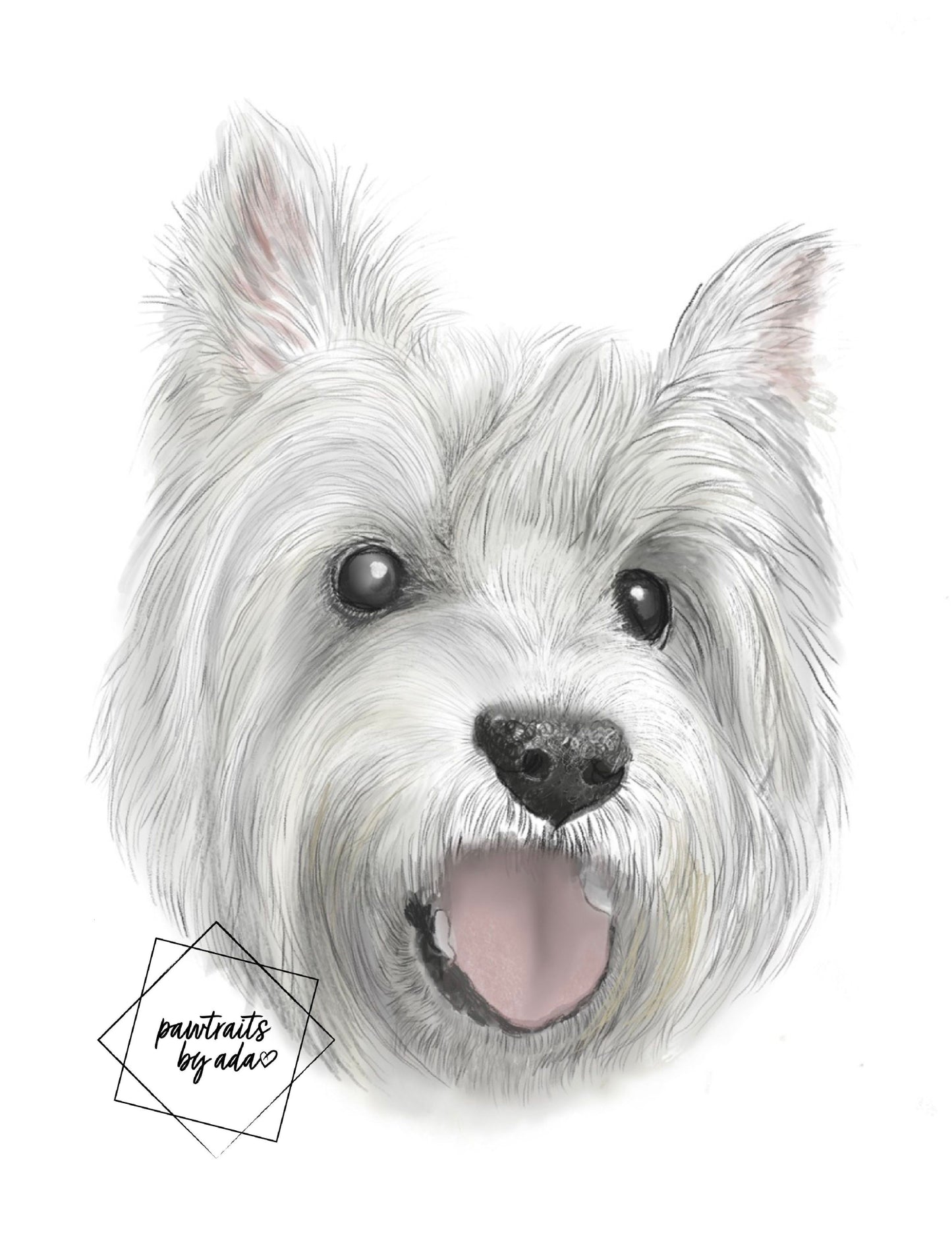 Single pet digital portrait